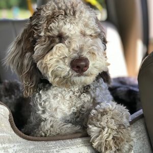 Meet your Posher, Katherine